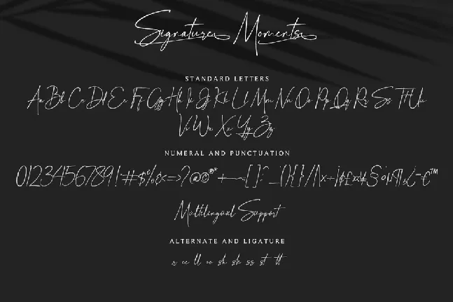 Signature Moments font