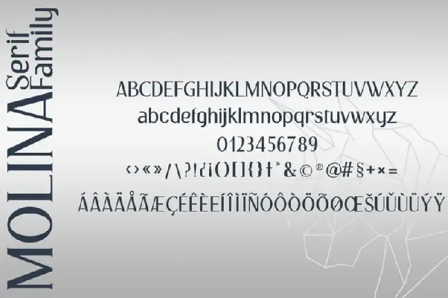 Molina Serif font