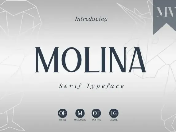 Molina Serif font