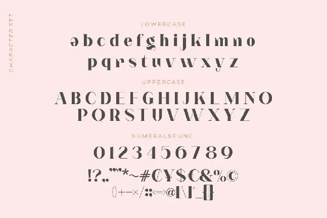 Notted Typeface font