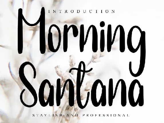 Morning Santana font