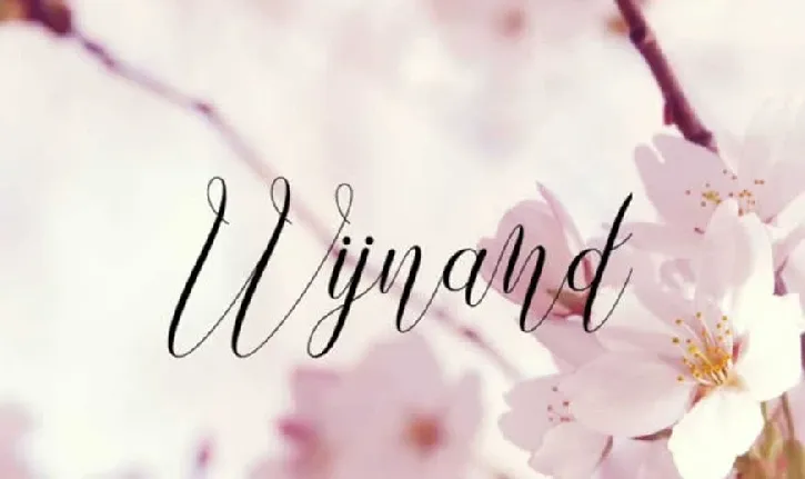 Wijnand font