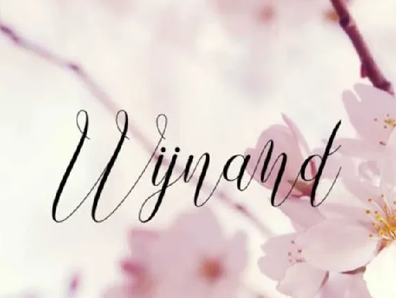 Wijnand font