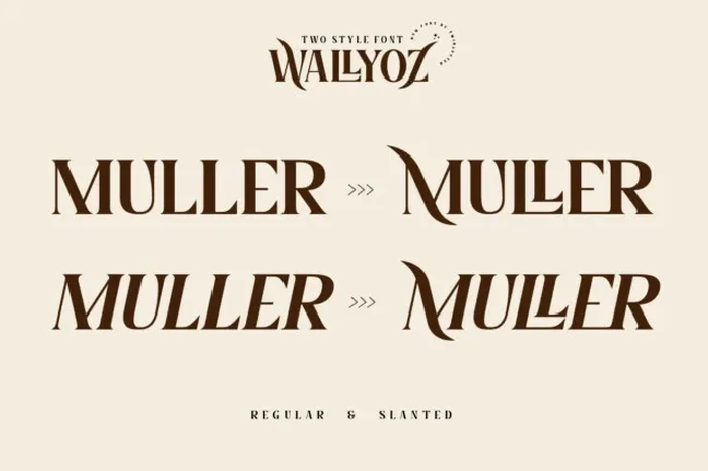 Wallyoz font