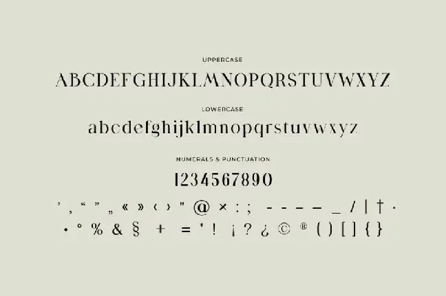 Birgine font