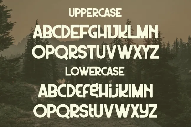 Wildest font