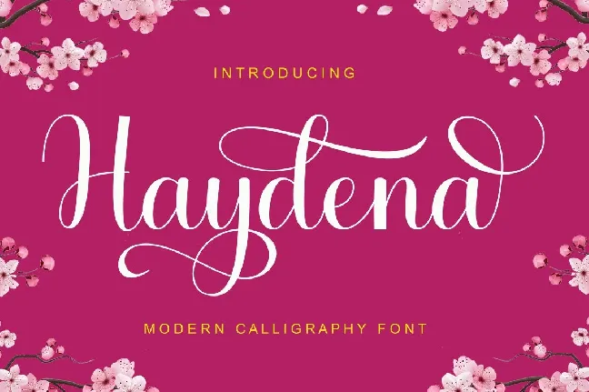 Haydena font