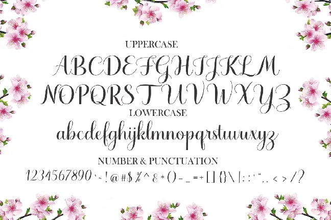 Haydena font