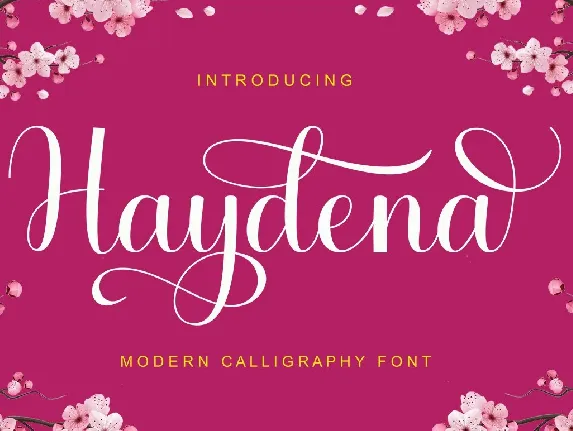 Haydena font