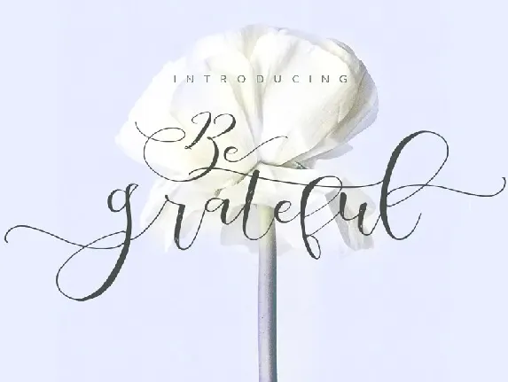 Be Grateful Script font