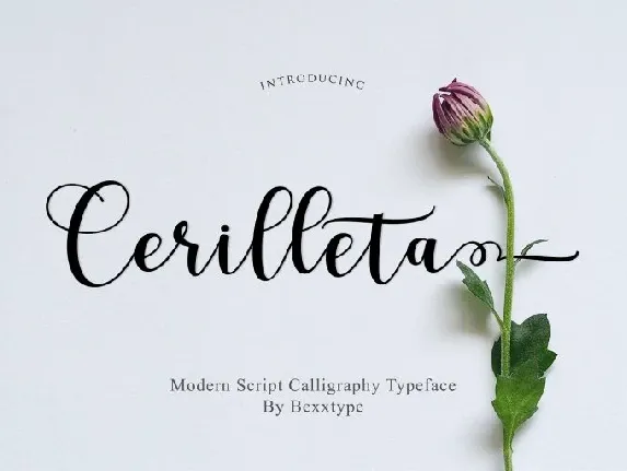 Cerilleta Script font