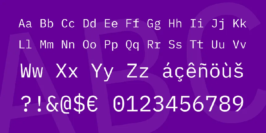 IBM Plex Mono font