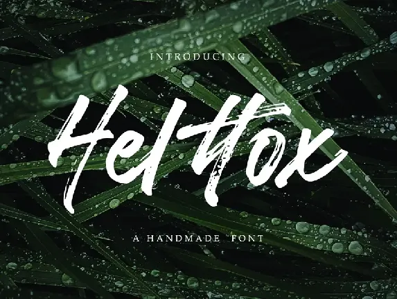 Helttox Brush font