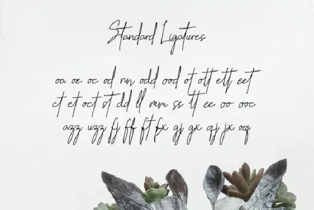 Handikraf Signature font