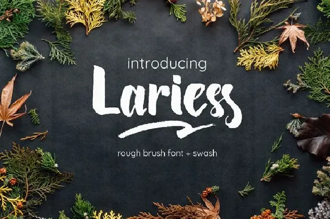 Lariess Brush font