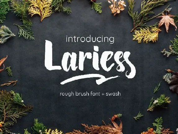 Lariess Brush font