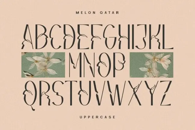 Melon Qatar font