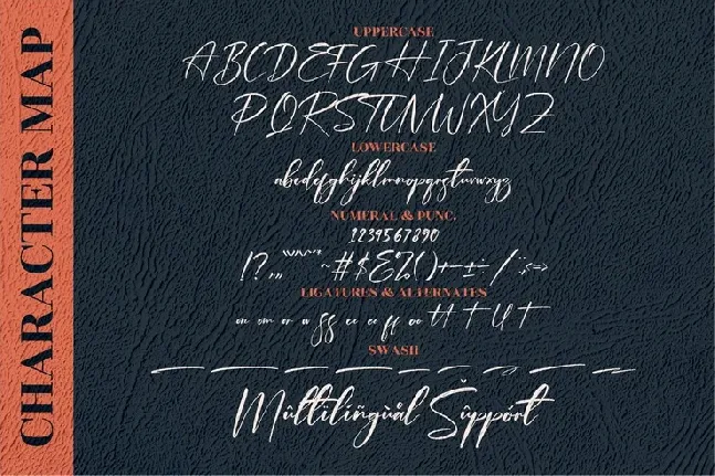 Plasmatic Signature font