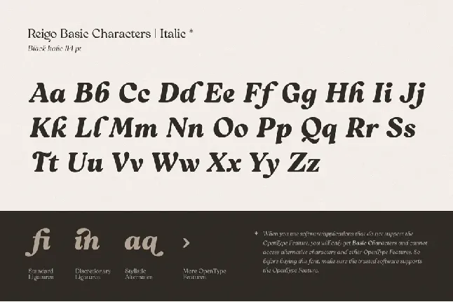 Reigo font