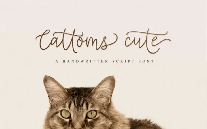 Cattoms Handwritten font