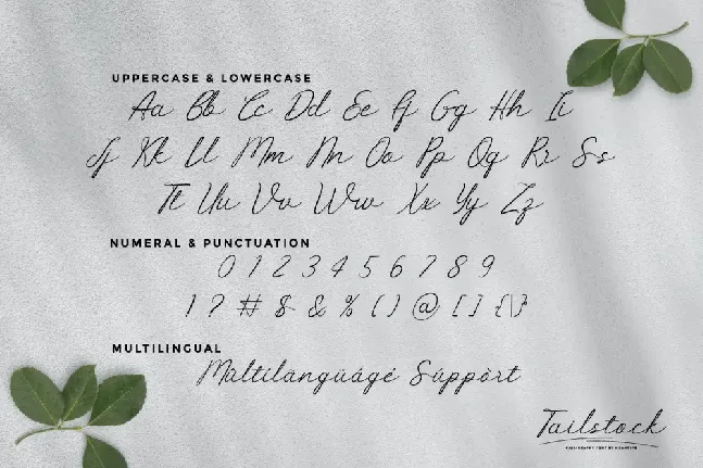 Tailstock Demo font