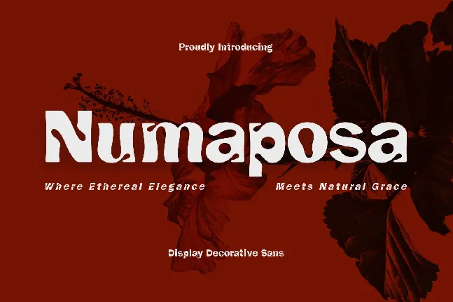 CF Numaposa Demo font