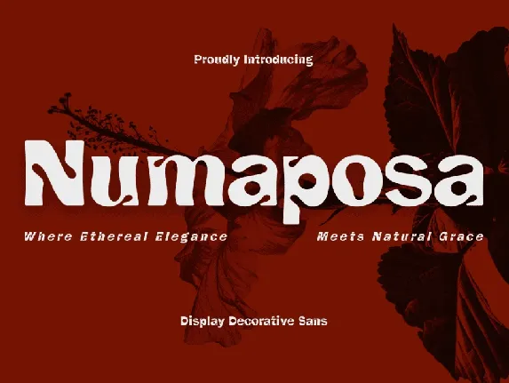 CF Numaposa Demo font