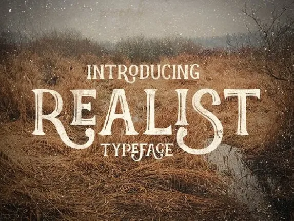 Realist Typeface font