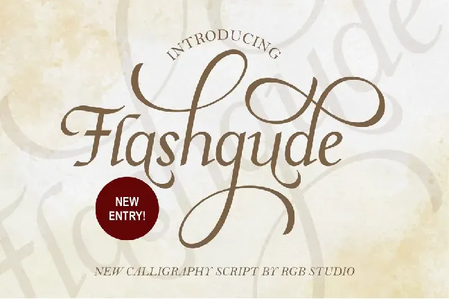 Flashgude font