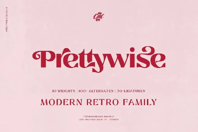 Prettywise Family font