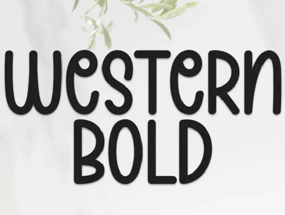 Western Bold Display font