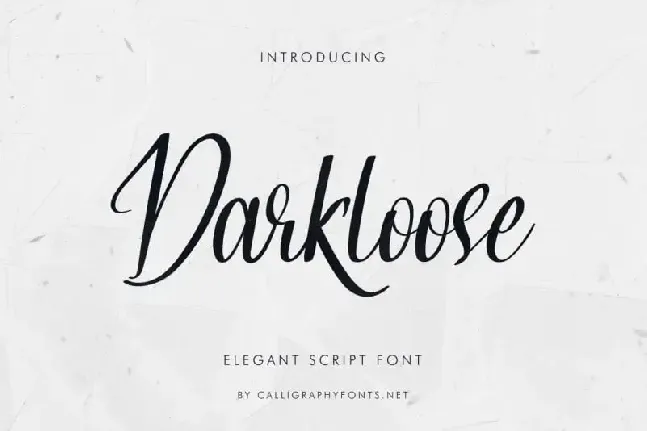 Darkloose Calligraphy Script font