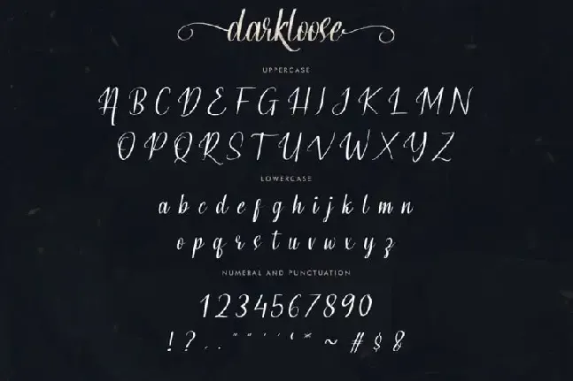 Darkloose Calligraphy Script font