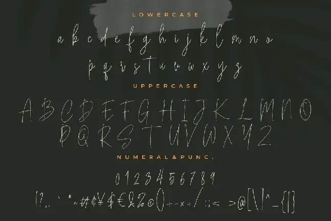 Bucherry font