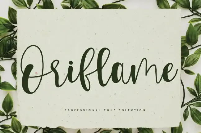 Orlline Script font