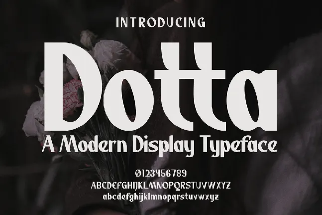 Dotta font