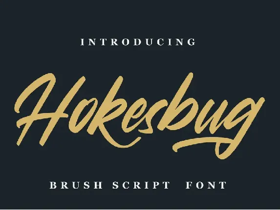 Hokesbug font