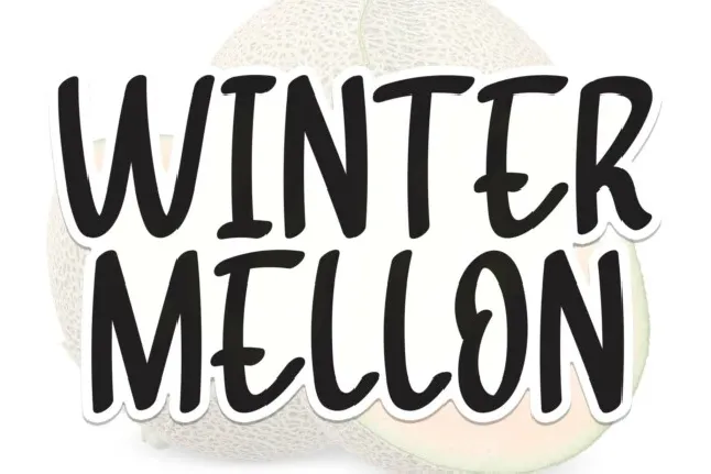 Winter Melon Brush font