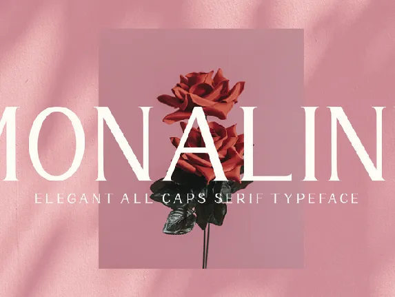 Monaline font