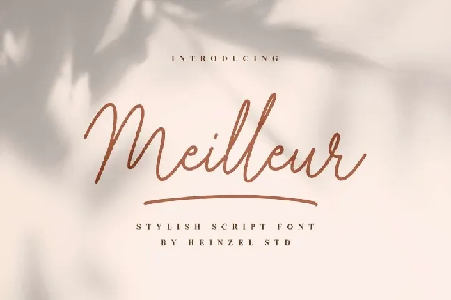 Meilleur font