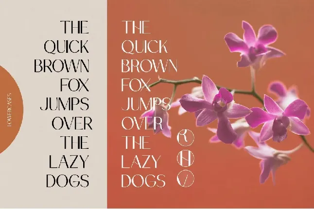 Drakors font