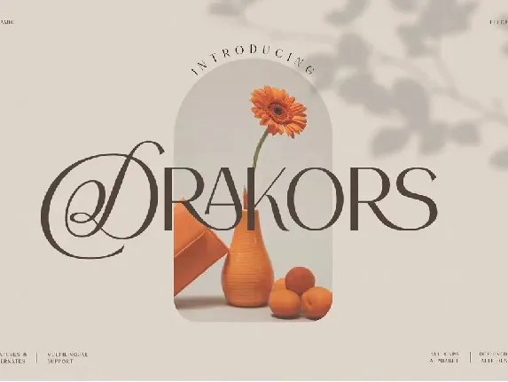 Drakors font