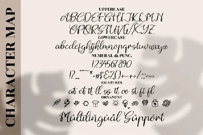 Andytta Selya font