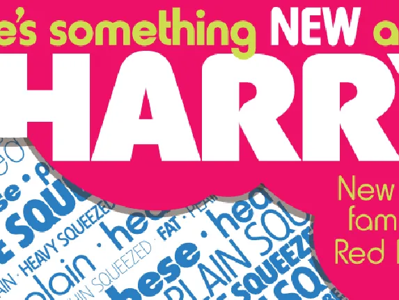 Harry Pro Family font