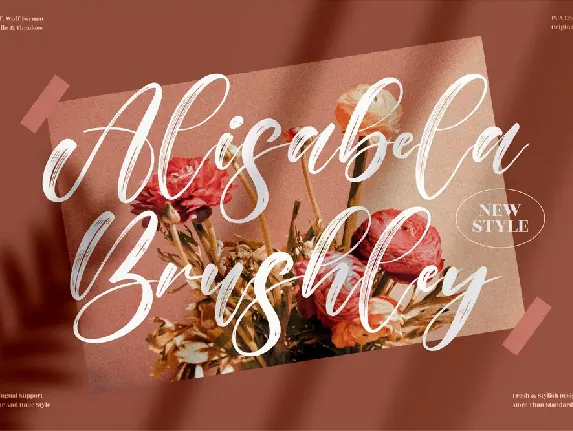 Alisabela Brushley font