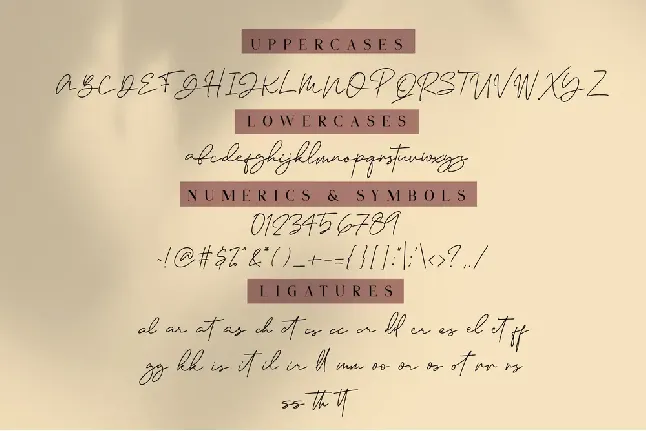 Janethville font