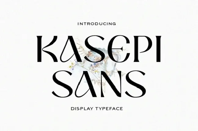 Kasepi Sans font