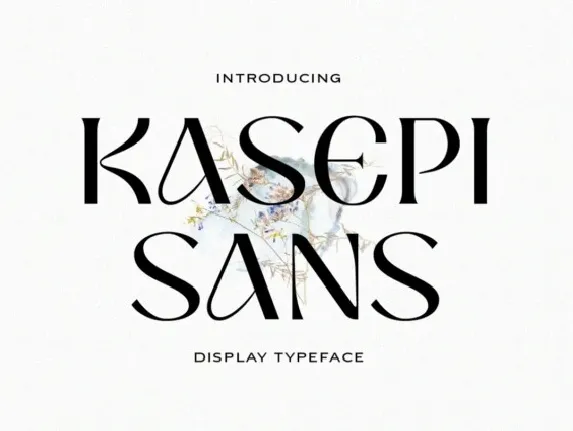 Kasepi Sans font