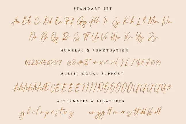 Brightness Script font