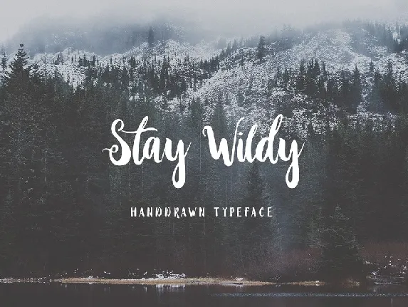 Stay Wildy Script Free font